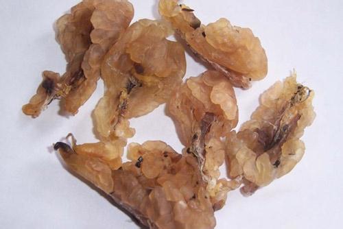 哈蟆油的功效与应用-传统中药的现代解读