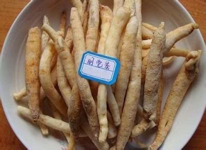 明党参图片