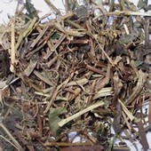 绞股蓝-传统药材的功效与应用