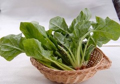 菠菜药用与营养价值大全 - 传统草药与健康蔬菜