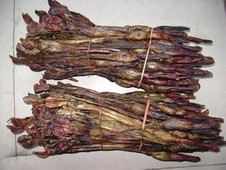 狗肾-中药材功能与应用详细介绍